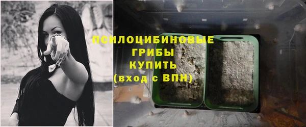 прущий лед Алексин