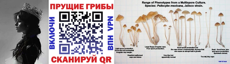 Псилоцибиновые грибы Magic Shrooms  Коркино 