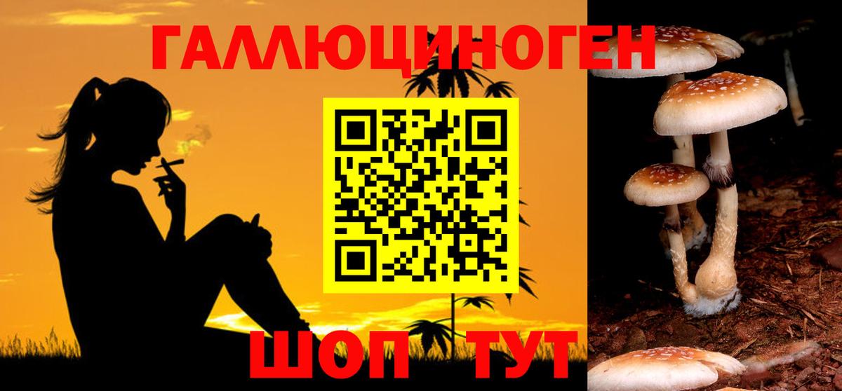 Псилоцибиновые грибы Psilocybine cubensis  Галлюциногенные грибы Psilocybine cubensis  Вход с VPN  Коркино 